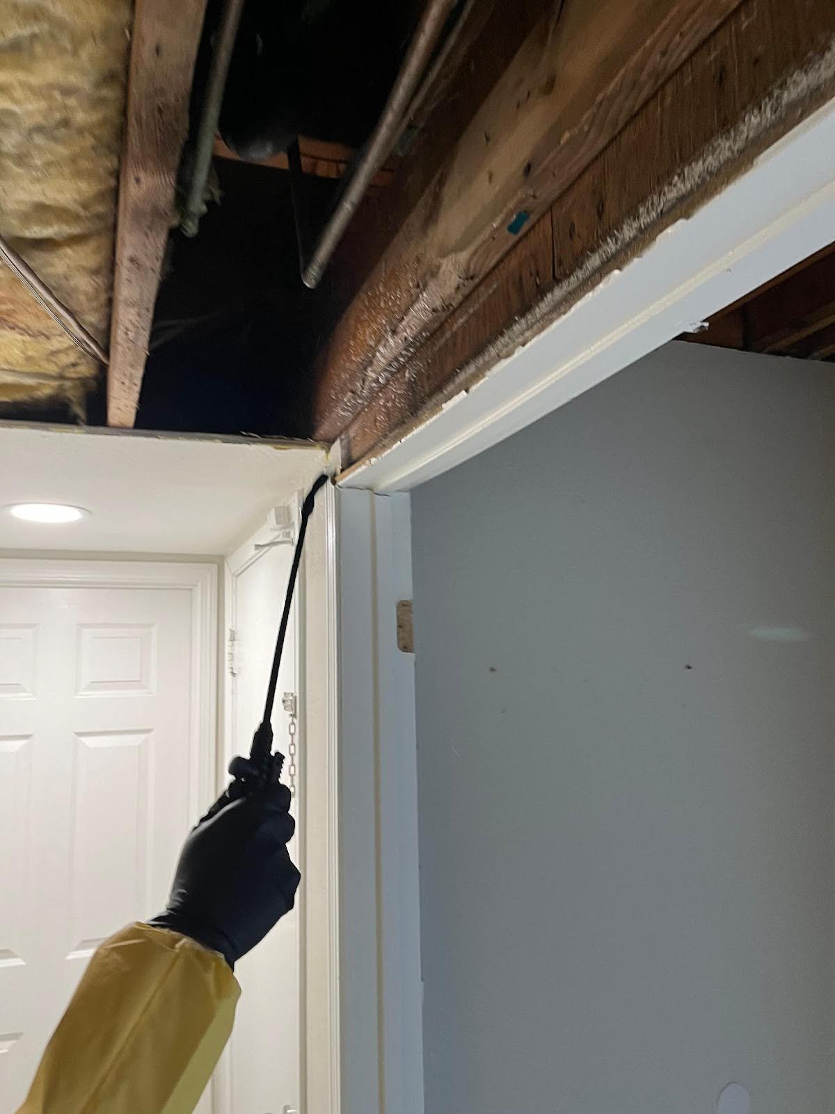Advanced Mold Prevention in Rancho Cucamonga