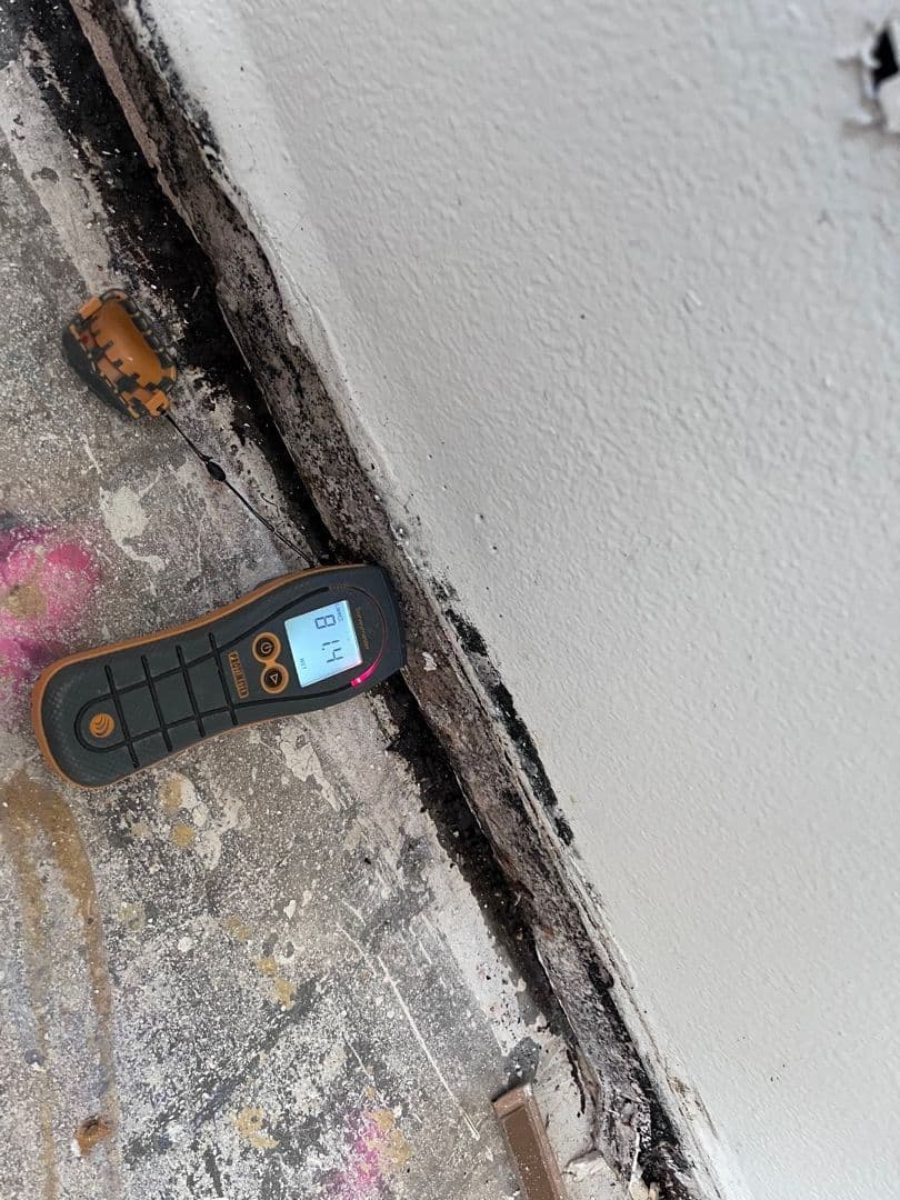 Project Effective Mold Remediation in Pomona image
