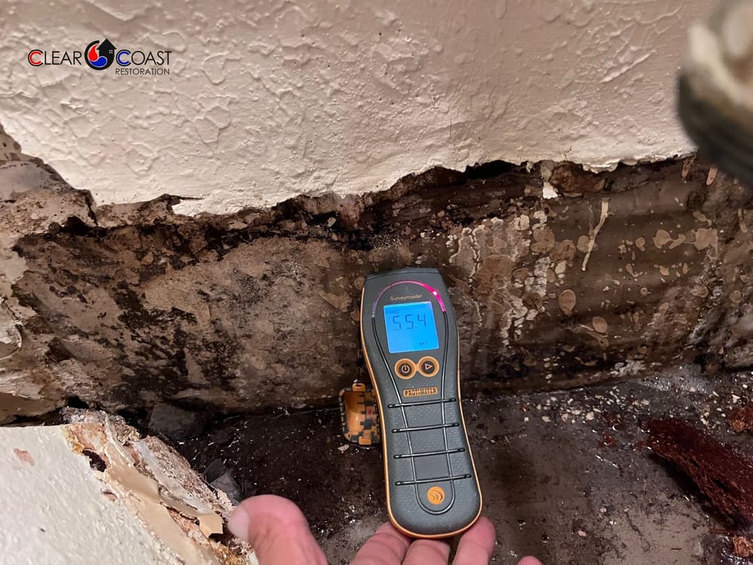 Moisture meter displaying 55.4% near mold growth on wall in restoration site.
