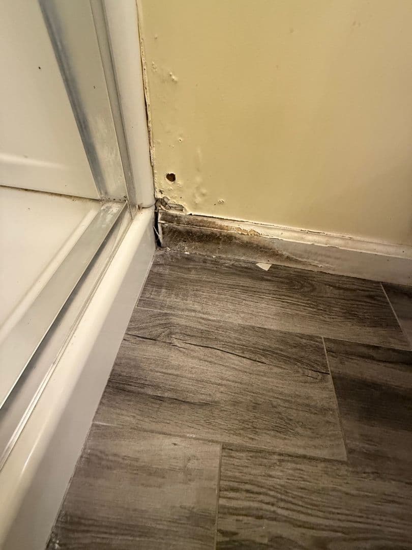 Project Mold Remediation Success in Norco CA image