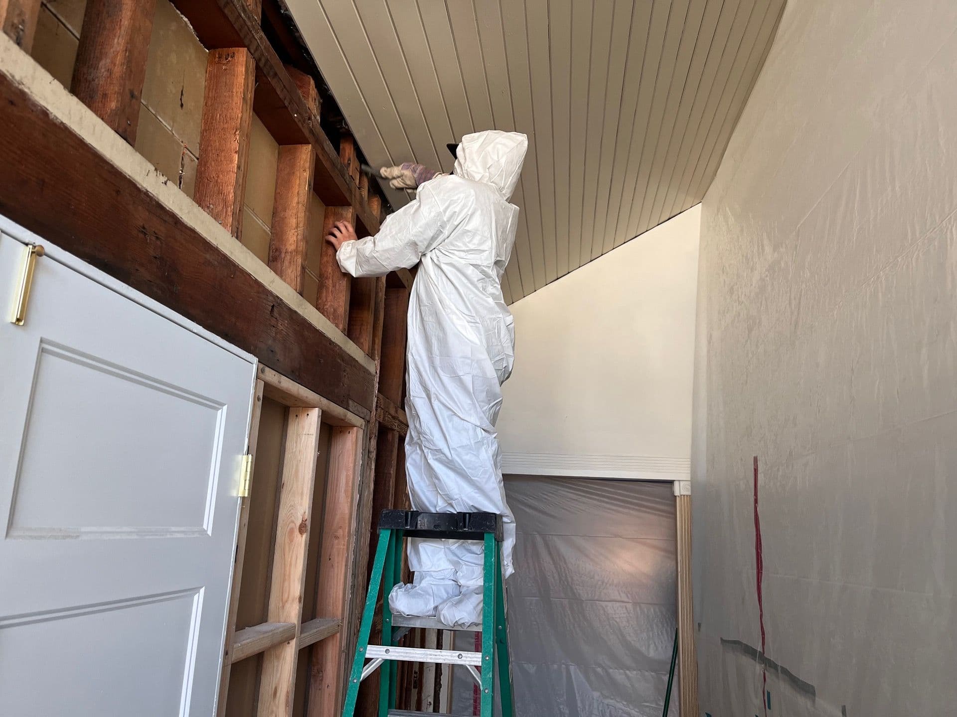 The Importance of PPE in Restoration Projects: Keeping Workers Safe image