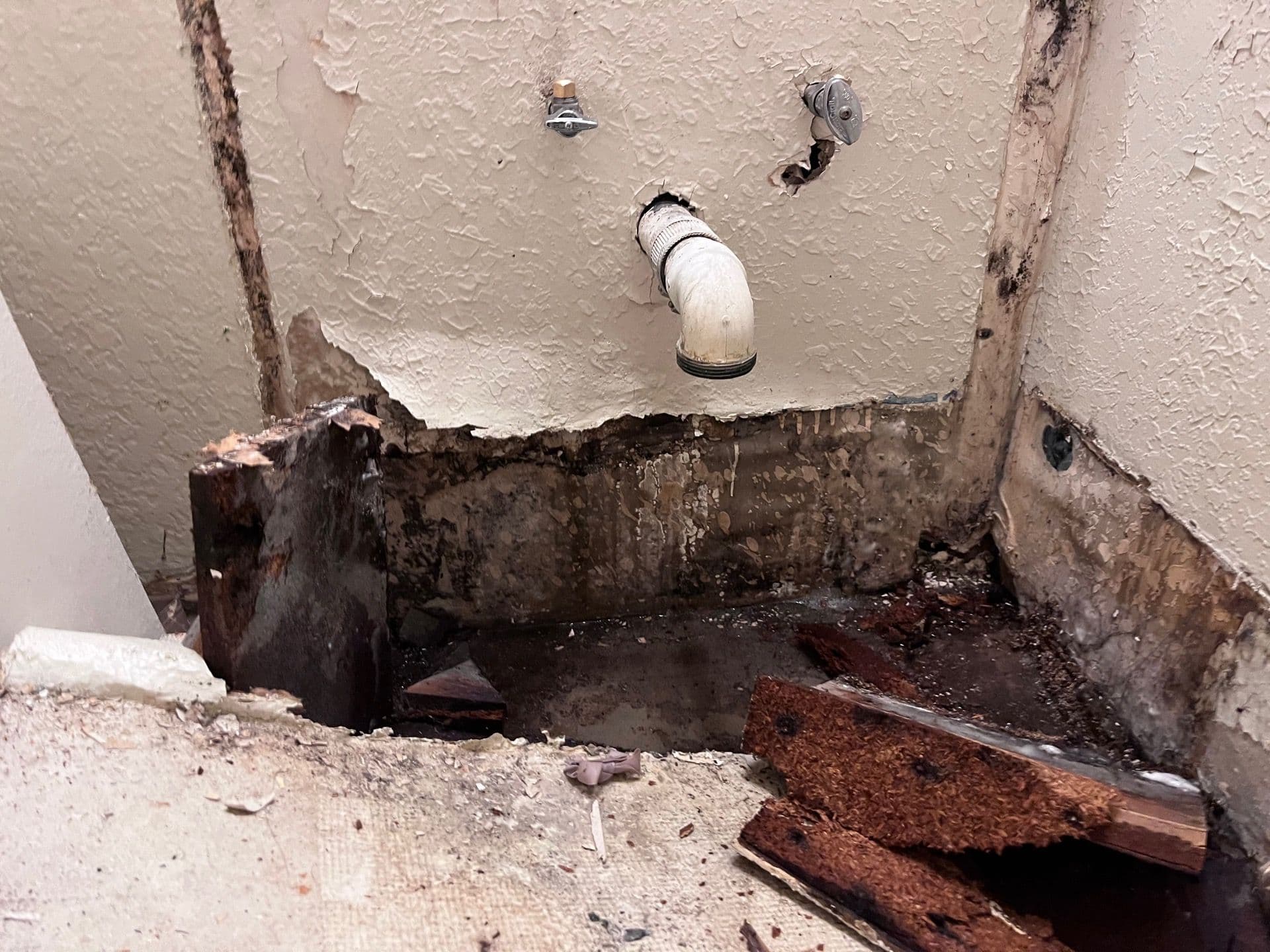 Blog post Black Mold vs. Dust: How to Tell the Difference (5 Key Signs) image