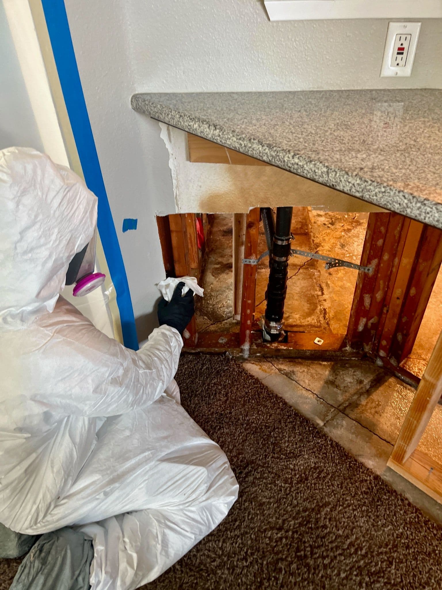 Project Expert Mold Remediation in Rancho Cucamonga image