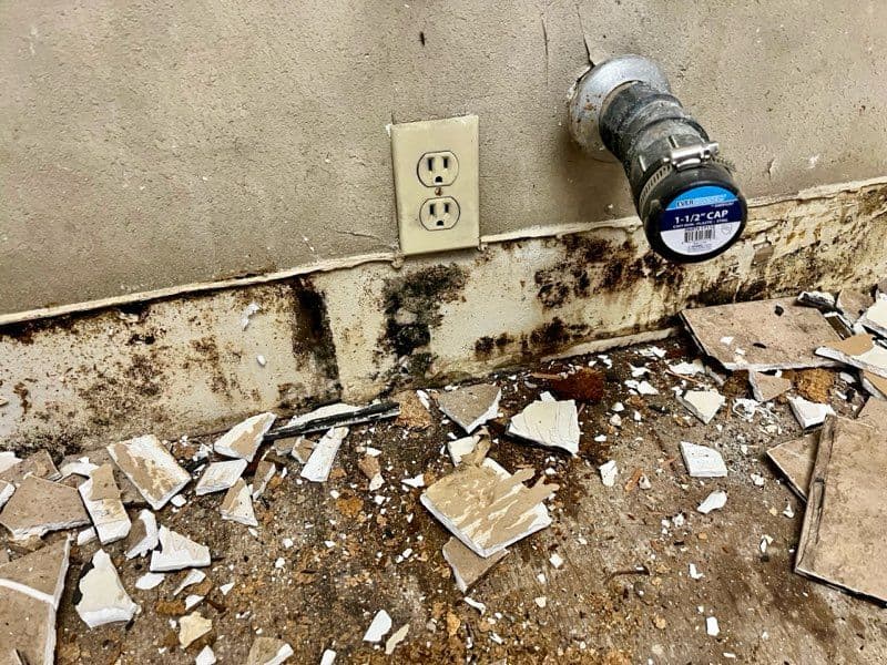 Mold Remediation Success in Upland Kitchen