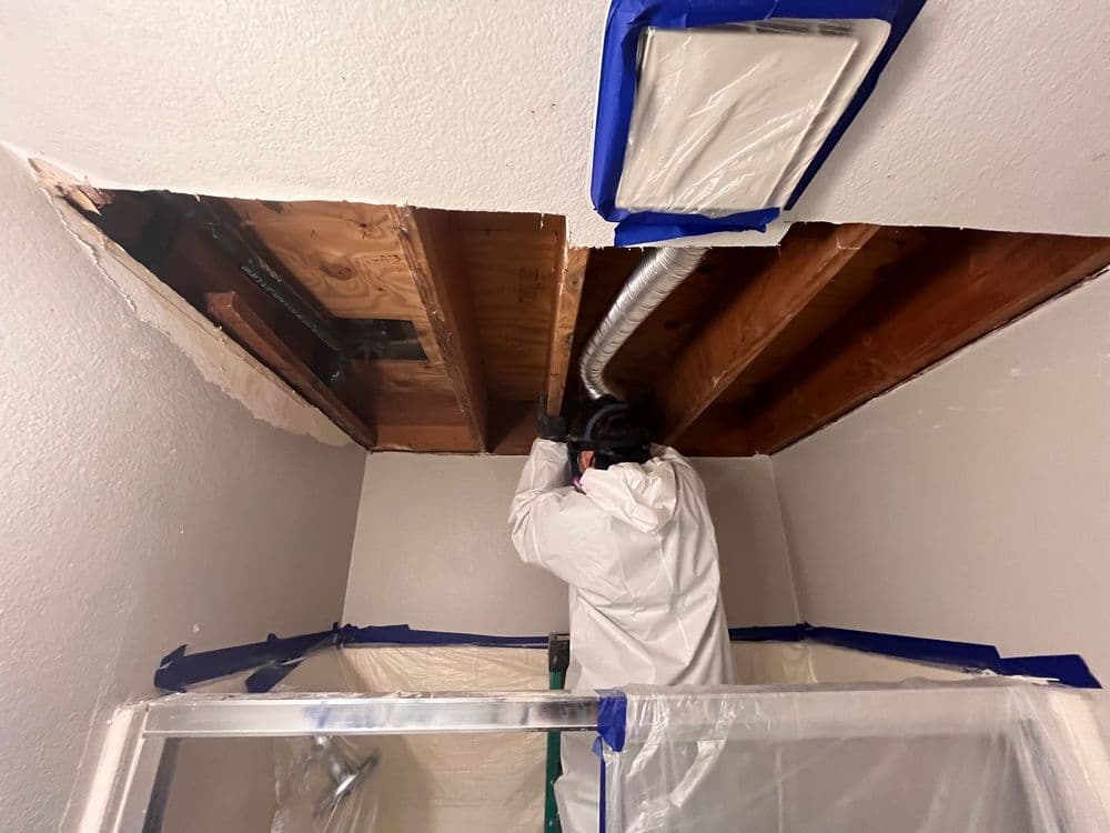 Project Quick Response to Water Damage in Rancho Cucamonga image