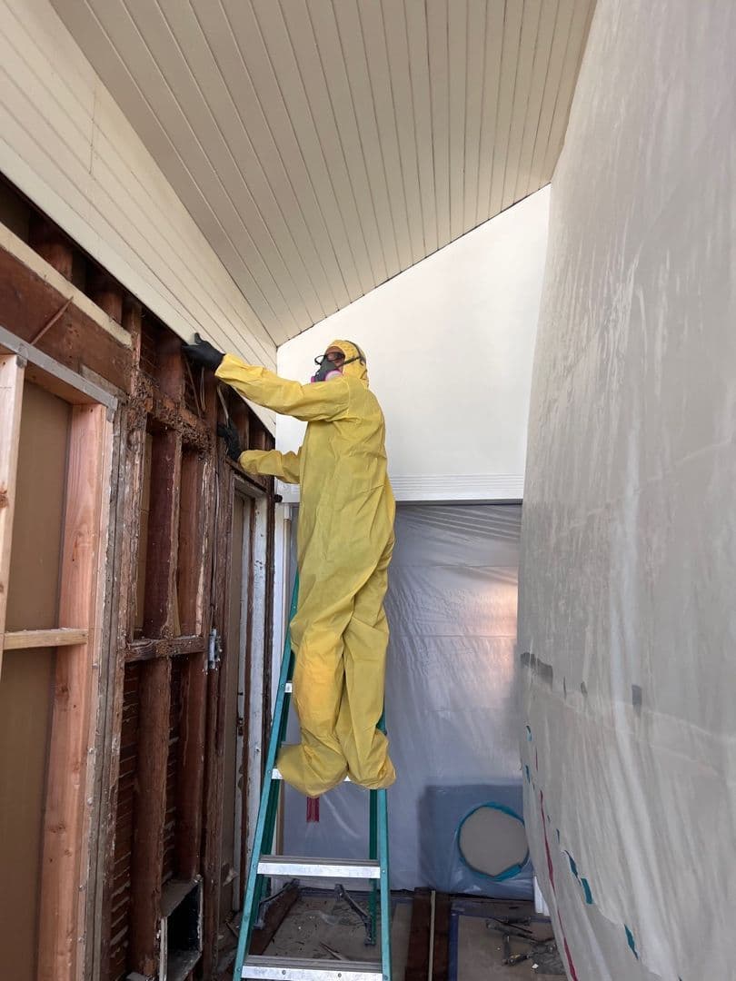 Expert Mold Remediation and Water Damage Restoration in Ontario CA image